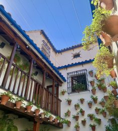 Mehdi, 26 ans, Homme, Guyancourt, France