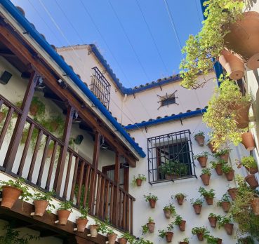 Mehdi, 26 ans, Guyancourt, France