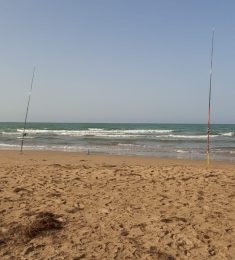 nabil, 46 ans, Homme, Argenteuil, France