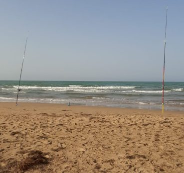 nabil, 46 ans, Argenteuil, France