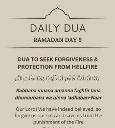 Abdl, 51 ans, Homme, Montpellier, France